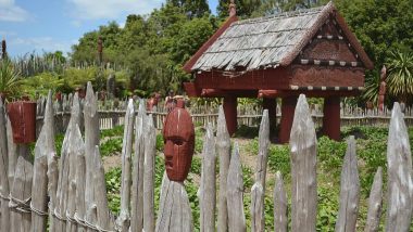 Learn Maori Online – (Business)