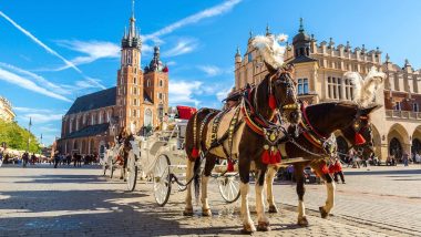 Learn Polish Online – Level 1